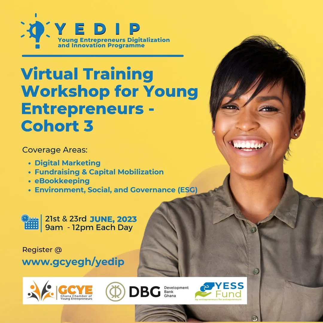 Young Entrepreneurs Digitization and Innovation Programme (YEDIP)