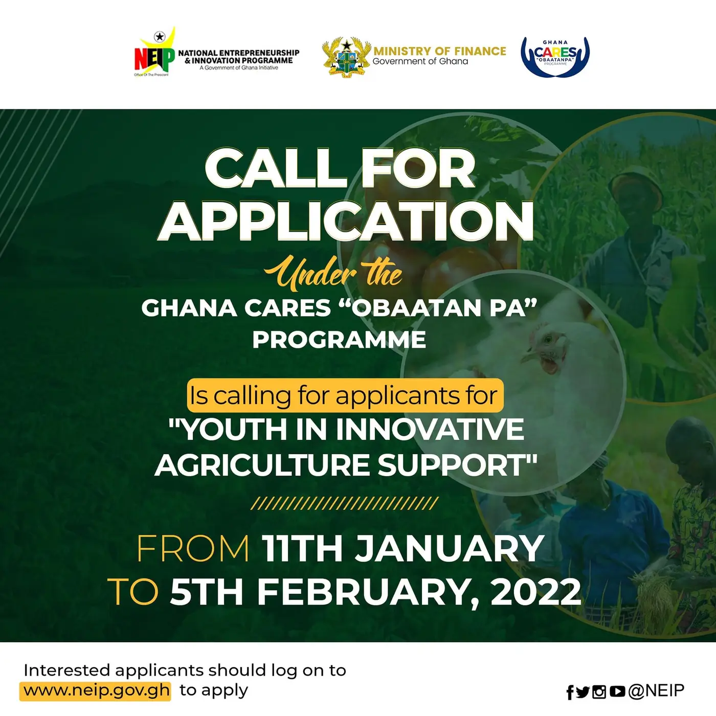 FUNDING SUPPORT: NEIP Opens application for “Youth in Innovative Agriculture Support”